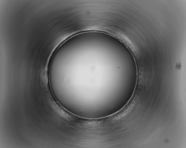 X0000102760892200808251026