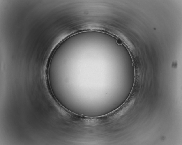 X0000102760893200808251026