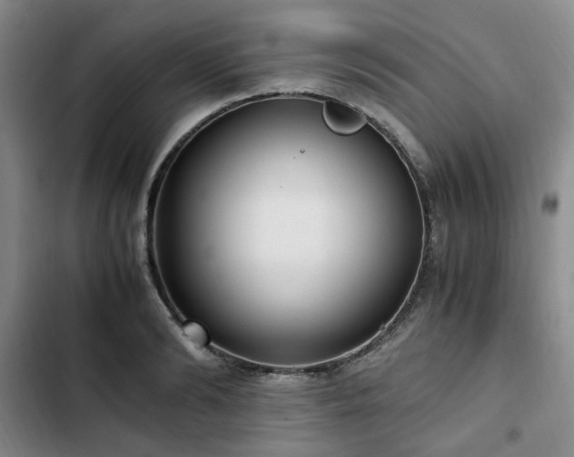 X0000102760894200808251026