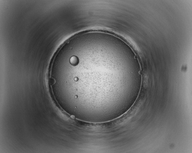 X0000102760895200808251026