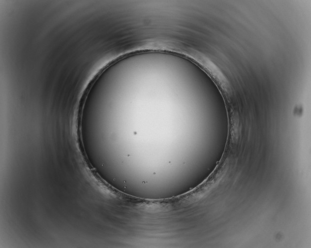 X0000102760896200808251026