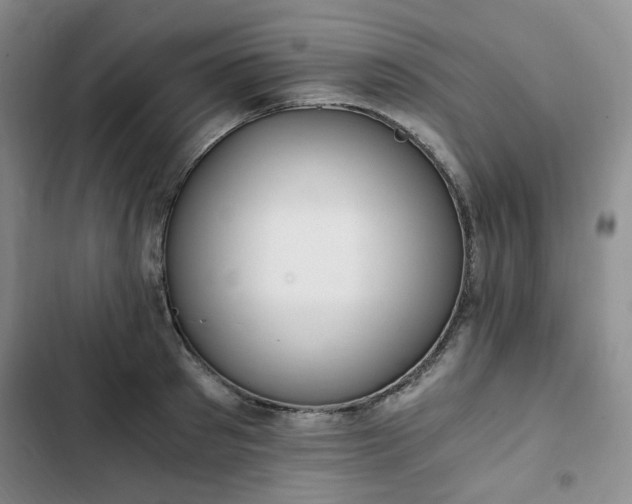 X0000102760897200808251026