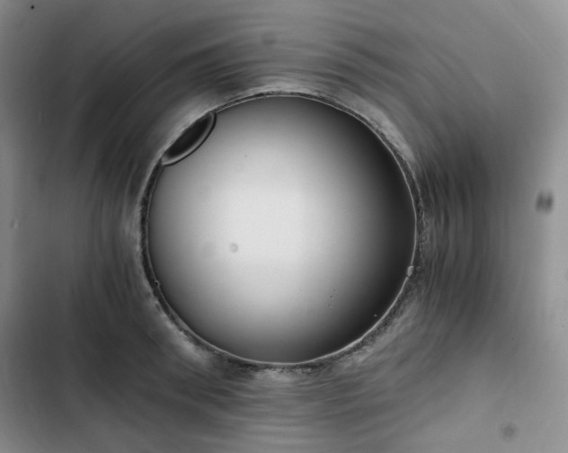 X0000102760898200808251026