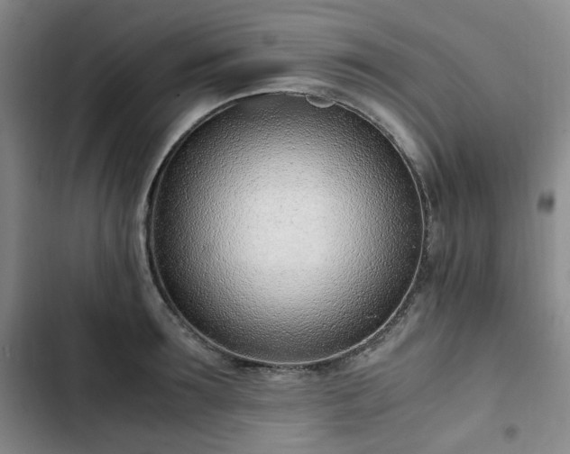 X0000102760899200808251026