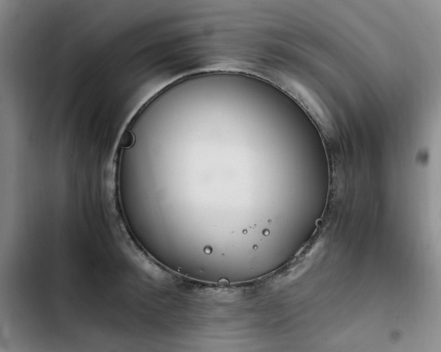 X0000102760900200808251026