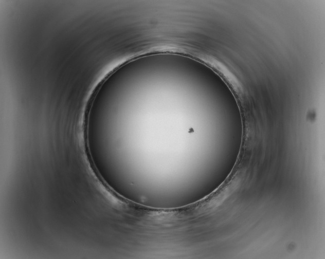 X0000102760902200808251026