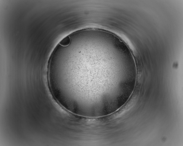 X0000102760903200808251026