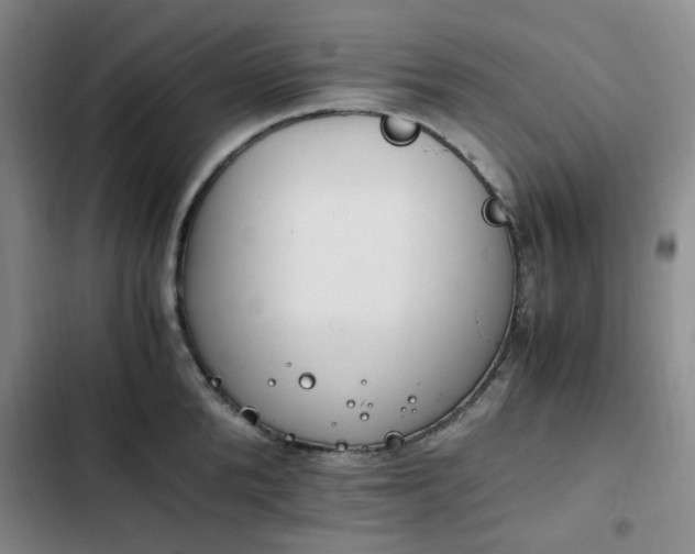 X0000102760904200808251026