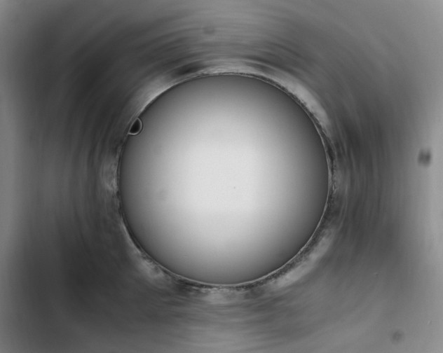 X0000102760905200808251026