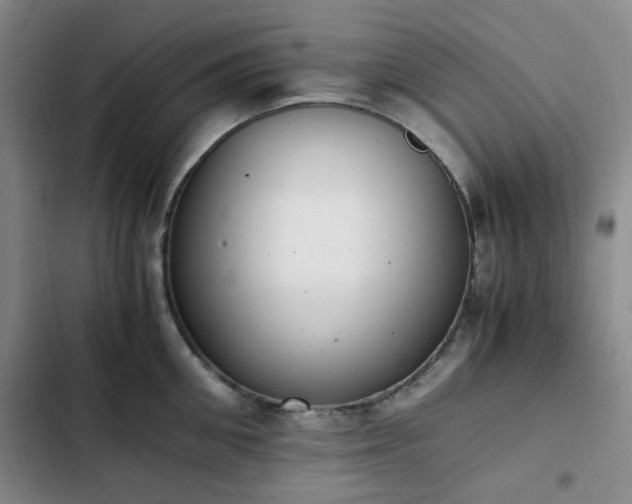 X0000102760906200808251026