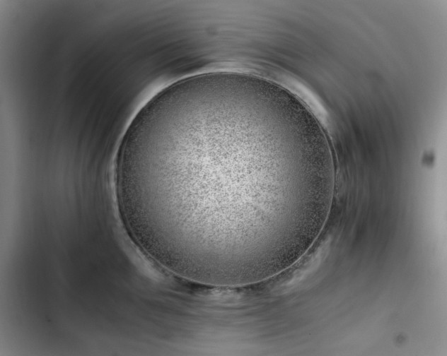 X0000102760907200808251026