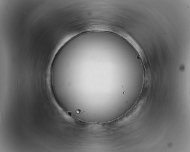 X0000102760909200808251025