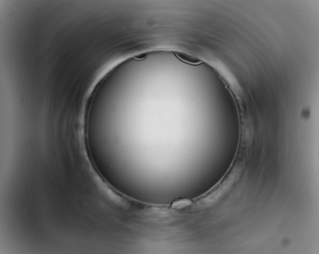 X0000102760910200808251025