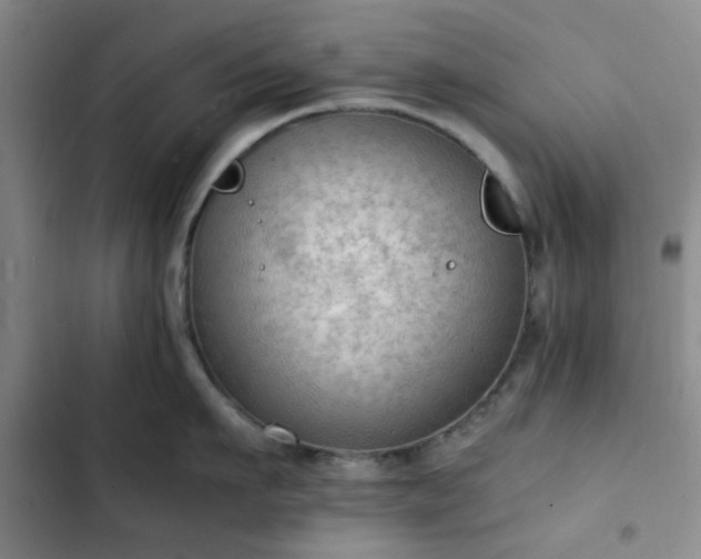 X0000102760911200808251025