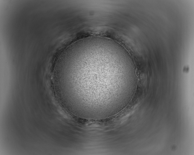 X0000102760913200808251025