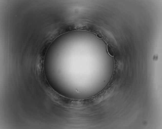 X0000102760914200808251025