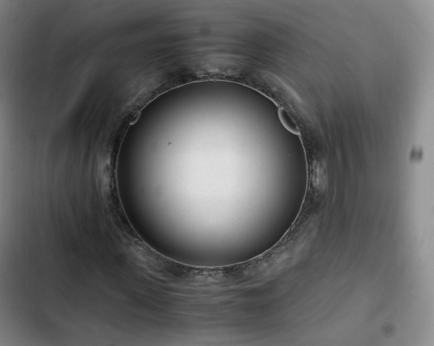 X0000102760915200808251025