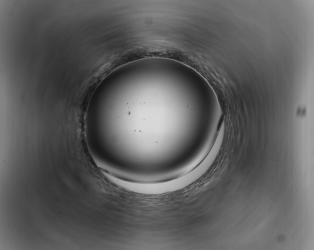 X0000102760916200808251025