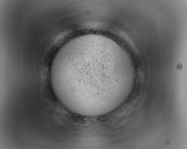 X0000102760918200808251025