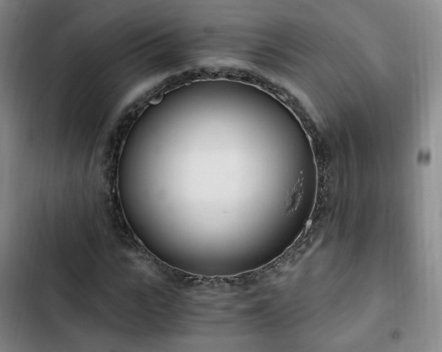 X0000102760919200808251025