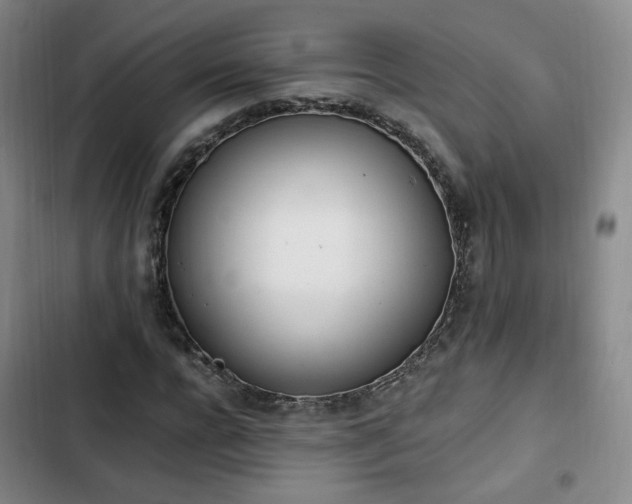 X0000102760920200808251025