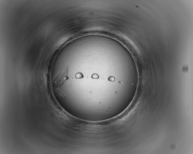 X0000102760921200808251025