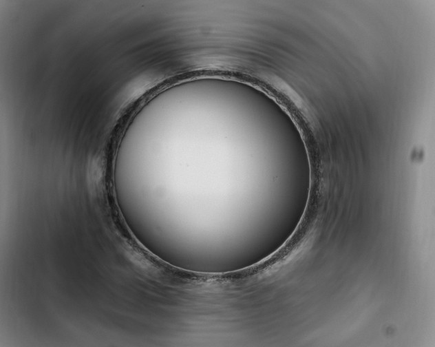 X0000102760922200808251025