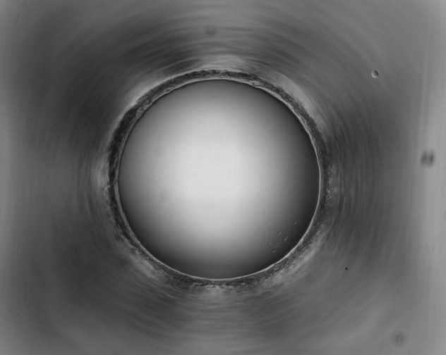 X0000102760923200808251025