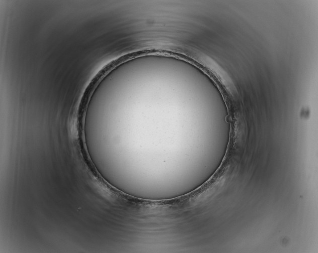 X0000102760924200808251025