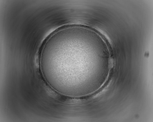 X0000102760925200808251025