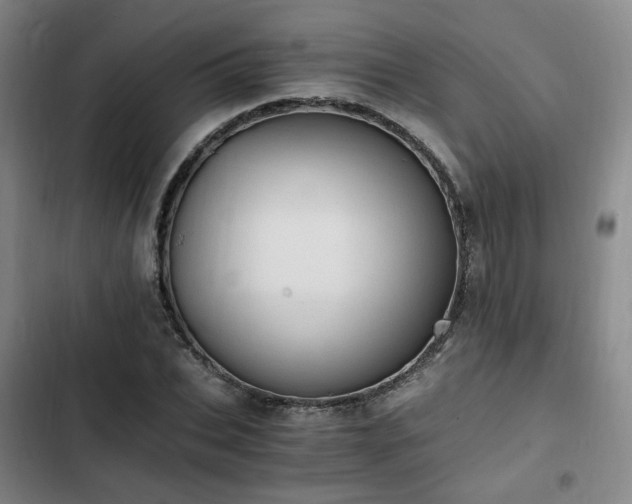 X0000102760927200808251025