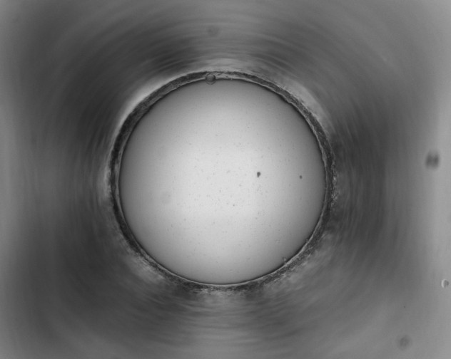 X0000102760928200808251025