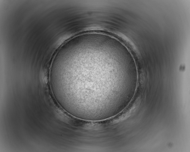 X0000102760929200808251025