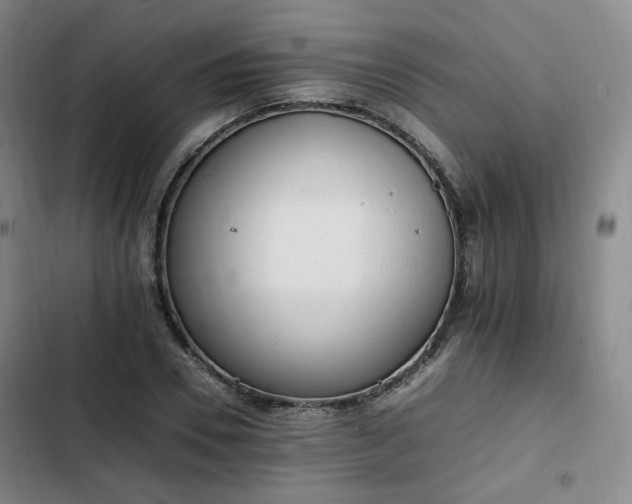 X0000102760930200808251025