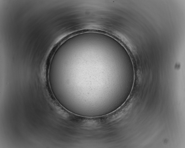 X0000102760931200808251025