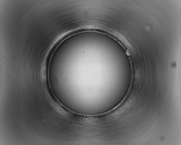 X0000102760934200808251025