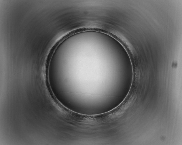 X0000102760935200808251025