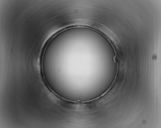 X0000102760936200808251025