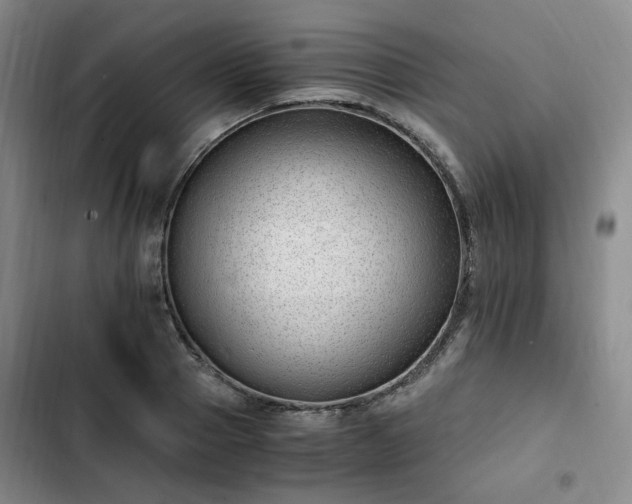 X0000102760937200808251025