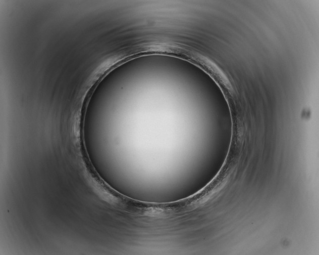 X0000102760938200808251025