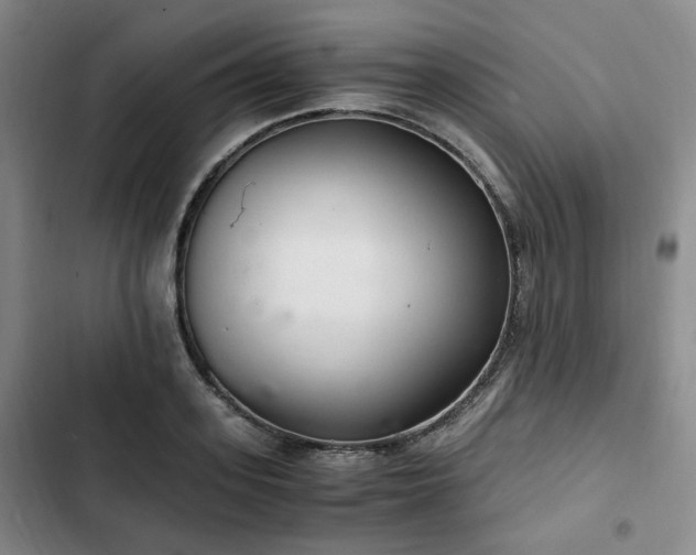 X0000102760939200808251025