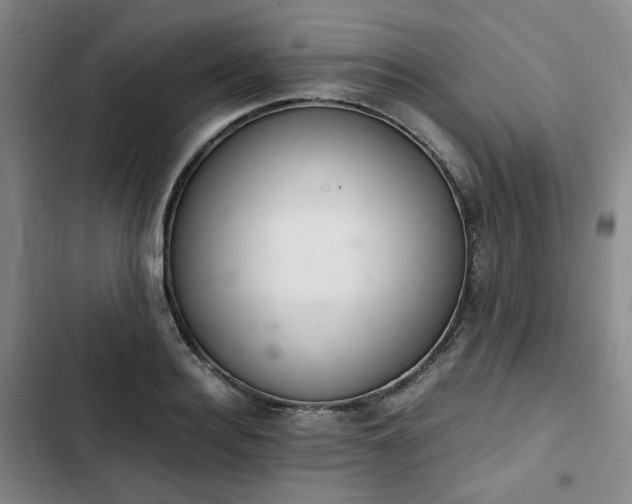 X0000102760940200808251025