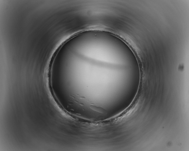 X0000102760941200808251025