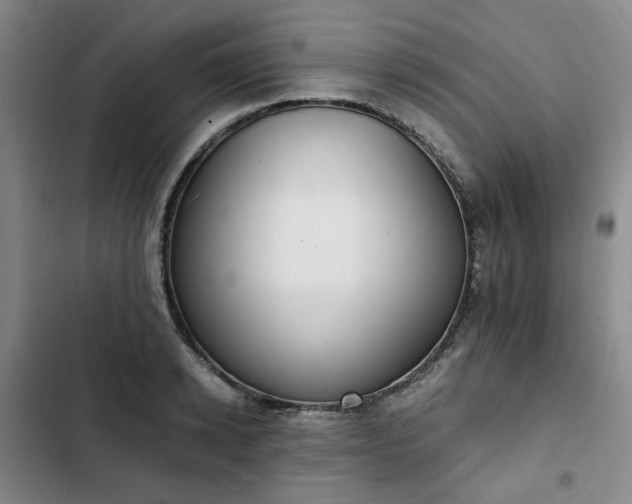 X0000102760942200808251025