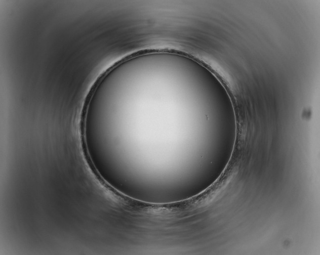 X0000102760943200808251025