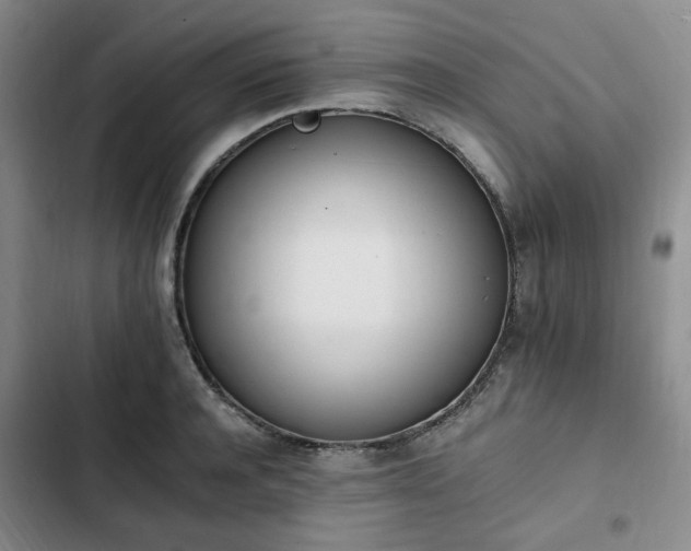 X0000102760944200808251025