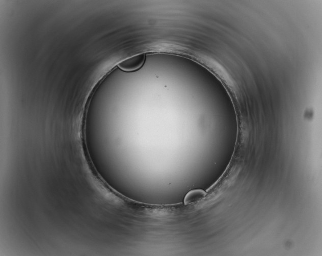 X0000102760946200808251025