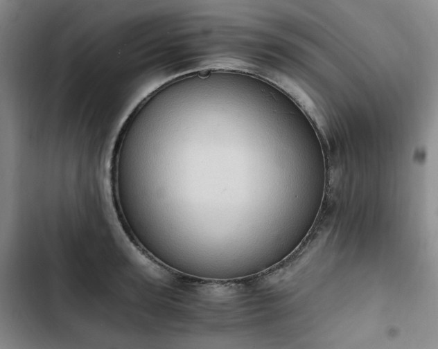 X0000102760947200808251025