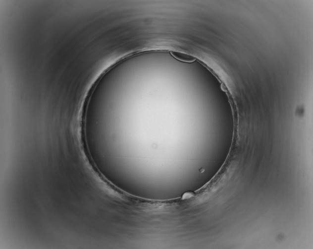 X0000102760949200808251025