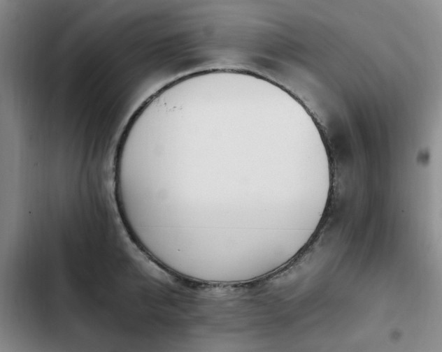 X0000102760950200808251025